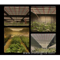 800 W Infrared Grow Light Attractive